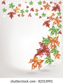 light background with maple leaves