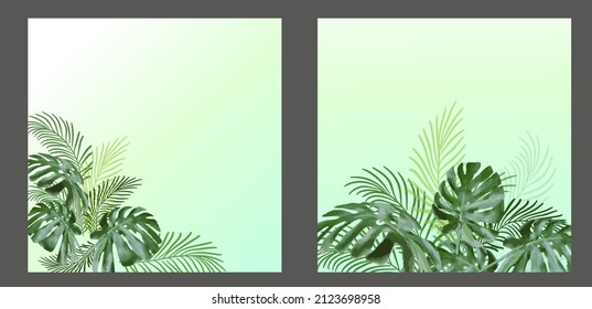Light background with tropical green leaves of monstera and palm