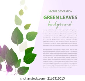 Light background for your text. Vector leaves decorate the background. Background for an article or post, for a blog