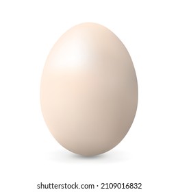 Light beige chicken egg Realistic and volumetric egg for easter