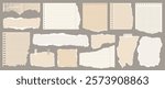 Light beige paper shapes with jagged uneven edges. Torn paper, shreds of notebook pages, old newspaper. Torn paper pieces set. Ripped fragments for message label, banner, collage, text box, stickeк