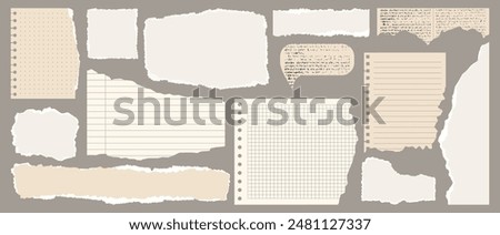 Light beige paper shapes with jagged uneven edges. Torn paper, shreds of notebook pages, old newspaper. Torn paper pieces set. Ripped fragments for message label, banner, collage, text box, sticker