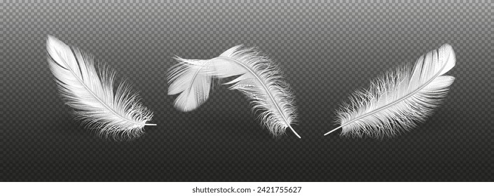 Las plumas de pájaro claro agrupan ilustraciones vectoriales realistas. Los animales voladores se desploman. Fluffy quills elementos 3d sobre fondo transparente