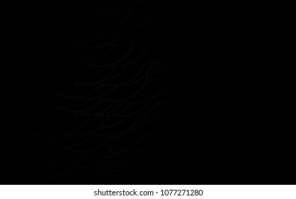 Light Black vector  background with dots. Modern abstract illustration with colorful water drops. Completely new template for your brand book.