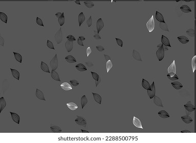 Light Black vector doodle template. A vague abstract illustration with leaves in doodles style. New template for your brand book.