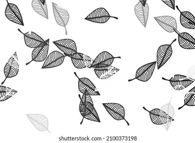 El fondo pintado de la mano del vector negro claro. Nueva ilustración colorida en estilo doodle con hojas. El patrón texturizado para el sitio web.