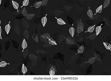 Light Black vector sketch pattern. Glitter abstract illustration with leaves. Completely new design for your business.