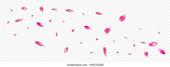 Light Bloom Vector Panoramic Transparent Background. Floral Marriage Card. Rosa Blur Banner. Apple Spring Backdrop. Purple Sakura Dream Design.