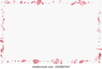 Light Bloom Vector Transparent Background. Blossom Free Texture. Rosa Fly Poster. Lotus Flutter Card. Pink Peach Sky Congratulation.