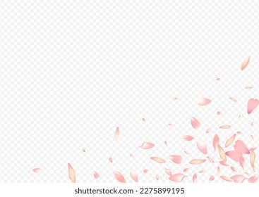 Light Blooming Vector Transparent Background. Rosa Realistic Congratulation. Apple Dream Pattern. Floral Spring Cover. White Bloom Nature Template.