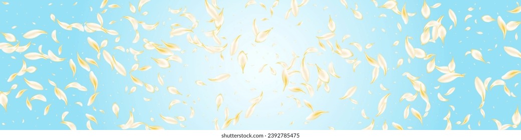 Light Blossom Blur Vector Panoramic Blue Background. Yellow Falling Petal Texture. White Rose Flying Design. Beige Sakura Summer Illustration. Japanese Lotus Banner.