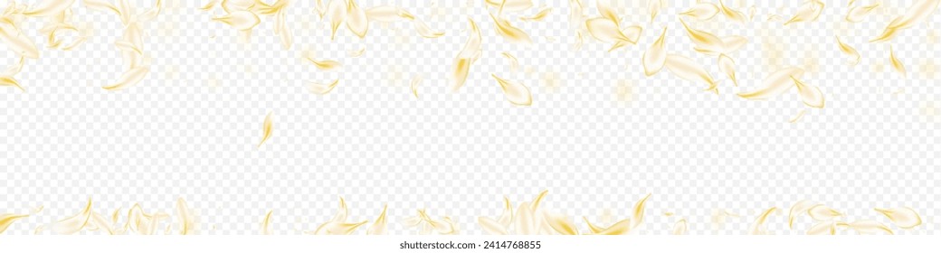 Light Blossom Falling Vector Panoramic Transparent Background. Beige Fall Floral Design. White Cherry Japan Wallpaper. Gold Flower Spring Frame. Flying Peach Poster.