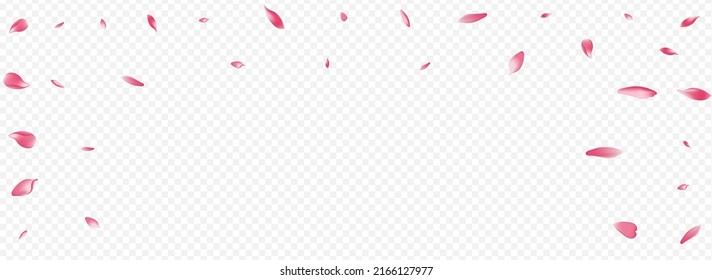 Light Blossom Vector Panoramic Transparent Background. Flower Feminine Poster. Sakura Romantic Congratulation. Rosa Blow Banner. White Bloom Realistic Illustration.