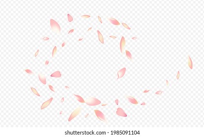 Light Blossom Vector Transparent Background. Lotus Springtime Template. Rosa Overlay Cover. Tree Wind Pattern. Purple Heart Fresh Congratulation.