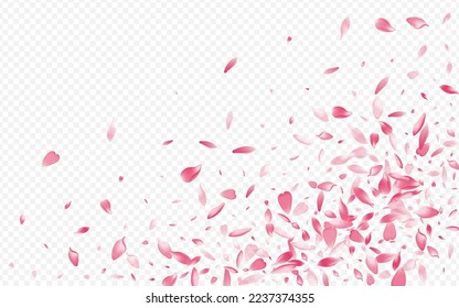 Light Blossom Vector Transparent Background. Confetti Soft Illustration. Tree Realistic Pattern. Cherry Spring Backdrop. Purple Rosa Wind Congratulation.