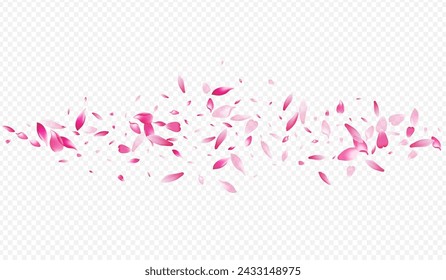 Light Blossom Vector Transparent Background. Heart Graphic Banner. Lotus Flying Pattern. Petal Spa Design. White Rosa Sky Cover.