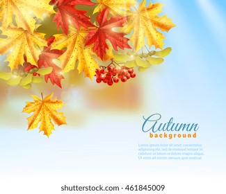 Light blue background with light effects shadows and colorful autumn leaves and rowan flat vector illustration