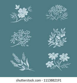 Light Blue background little cute botanical vector Set