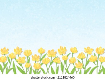 Light blue background with yellow flower