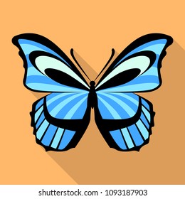 Light blue butterfly icon. Flat illustration of light blue butterfly vector icon for web design