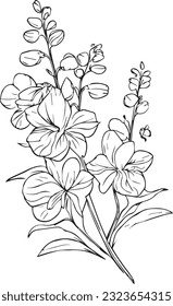 Light blue delphinium wedding bouquet, delphinium flower bouquet of black and white illustration, pencil art larkspur flower, flower isolated with desphinium, black july birth flower larkspur tattoo.