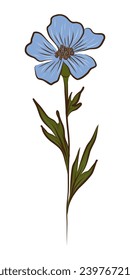 LIGHT BLUE FLAX IN VECTOR