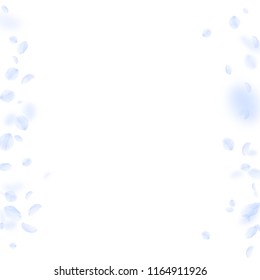 Light blue flower petals falling down. Memorable romantic flowers borders. Flying petal on white square background. Love, romance concept. Actual wedding invitation.