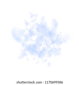 Light blue flower petals falling down. Wonderful romantic flowers explosion. Flying petal on white square background. Love, romance concept. Astonishing wedding invitation.