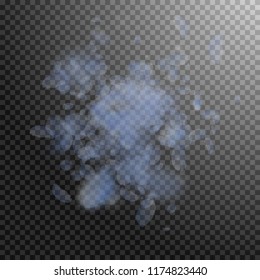 Light blue flower petals falling down. Delicate romantic flowers explosion. Flying petal on transparent square background. Love, romance concept. Artistic wedding invitation.