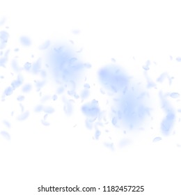 Light blue flower petals falling down. Magnetic romantic flowers falling rain. Flying petal on white square background. Love, romance concept. Awesome wedding invitation.
