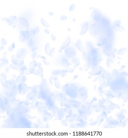 Light blue flower petals falling down. Flawless romantic flowers gradient. Flying petal on white square background. Love, romance concept. Comely wedding invitation.