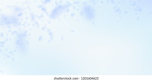 Light blue flower petals falling down. Interesting romantic flowers falling rain. Flying petal on blue sky wide background. Love, romance concept. Delightful wedding invitation.