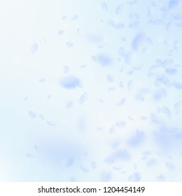 Light blue flower petals falling down. Tempting romantic flowers gradient. Flying petal on blue sky square background. Love, romance concept. Bold wedding invitation.
