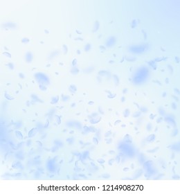 Light blue flower petals falling down. Perfect romantic flowers gradient. Flying petal on blue sky square background. Love, romance concept. Comely wedding invitation.