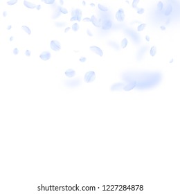 Light blue flower petals falling down. Captivating romantic flowers gradient. Flying petal on white square background. Love, romance concept. Cool wedding invitation.