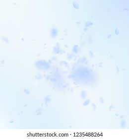 Light blue flower petals falling down. Noteworthy romantic flowers explosion. Flying petal on blue sky square background. Love, romance concept. Astonishing wedding invitation.