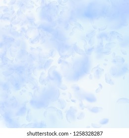 Light blue flower petals falling down. Splendid romantic flowers gradient. Flying petal on blue sky square background. Love, romance concept. Classy wedding invitation.