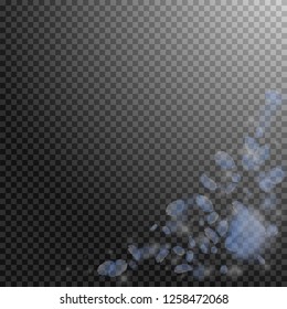 Light blue flower petals falling down. Favorable romantic flowers corner. Flying petal on transparent square background. Love, romance concept. Alive wedding invitation.