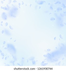 Light blue flower petals falling down. Mesmeric romantic flowers vignette. Flying petal on blue sky square background. Love, romance concept. Cute wedding invitation.