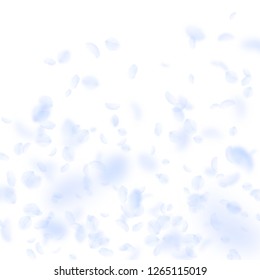 Light blue flower petals falling down. Eminent romantic flowers gradient. Flying petal on white square background. Love, romance concept. Comely wedding invitation.