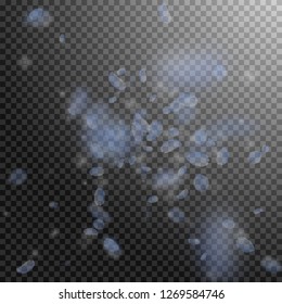 Light blue flower petals falling down. Incredible romantic flowers explosion. Flying petal on transparent square background. Love, romance concept. Astonishing wedding invitation.