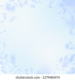 Light blue flower petals falling down. Enchanting romantic flowers vignette. Flying petal on blue sky square background. Love, romance concept. Creative wedding invitation.