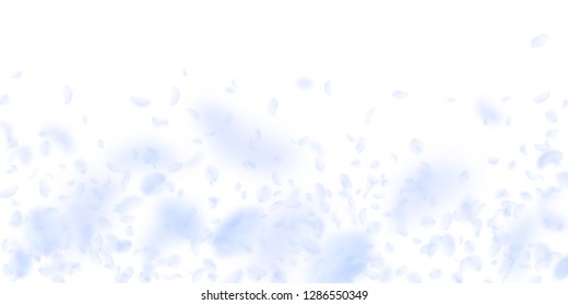 Light blue flower petals falling down. Ecstatic romantic flowers falling rain. Flying petal on white wide background. Love, romance concept. Delightful wedding invitation.