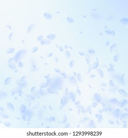 Light blue flower petals falling down. Likable romantic flowers gradient. Flying petal on blue sky square background. Love, romance concept. Comely wedding invitation.