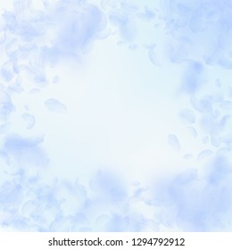 Light blue flower petals falling down. Artistic romantic flowers vignette. Flying petal on blue sky square background. Love, romance concept. Dazzling wedding invitation.