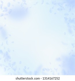 Light blue flower petals falling down. Magnificent romantic flowers vignette. Flying petal on blue sky square background. Love, romance concept. Creative wedding invitation.