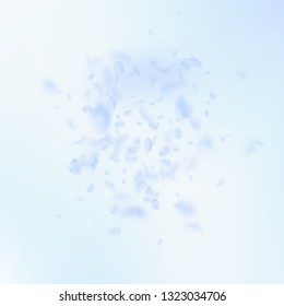 Light blue flower petals falling down. Impressive romantic flowers explosion. Flying petal on blue sky square background. Love, romance concept. Artistic wedding invitation.