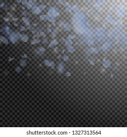 Light blue flower petals falling down. Amusing romantic flowers gradient. Flying petal on transparent square background. Love, romance concept. Bold wedding invitation.
