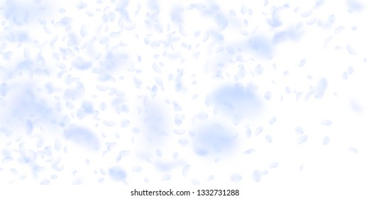 Light blue flower petals falling down. Sublime romantic flowers gradient. Flying petal on white wide background. Love, romance concept. Divine wedding invitation.