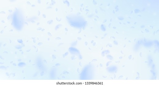Light blue flower petals falling down. Outstanding romantic flowers falling rain. Flying petal on blue sky wide background. Love, romance concept. Delightful wedding invitation.